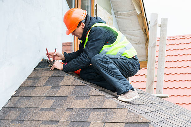 Roof Gutter Cleaning in Chipley, FL